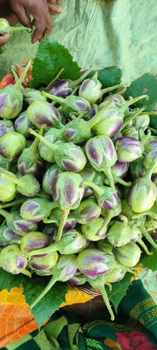 થંબનેલ 2