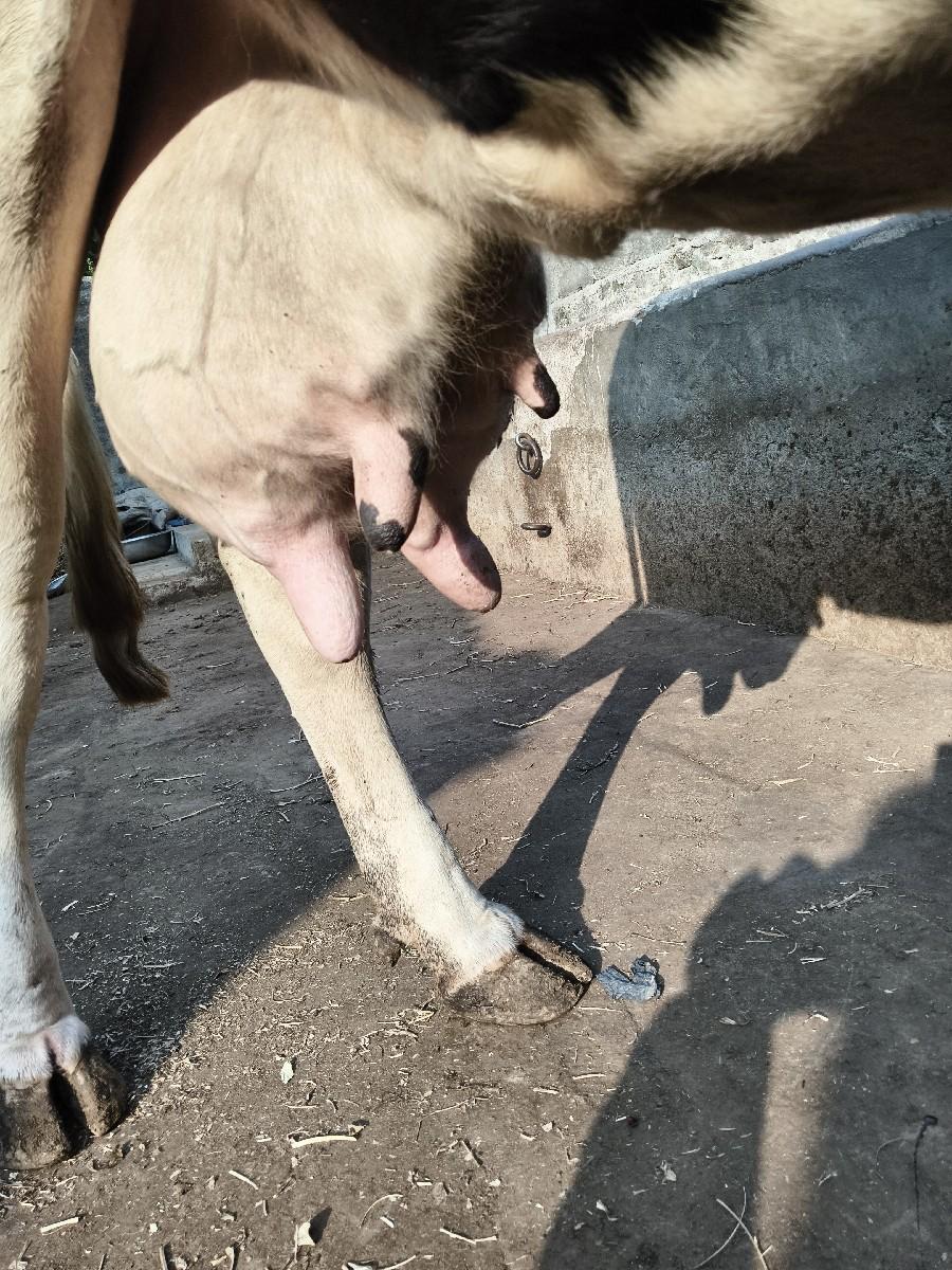 थंबनेल 3