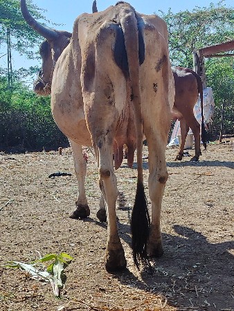 थंबनेल 2