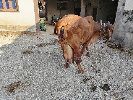 વેચવાની છે