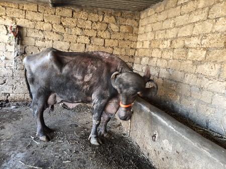 थंबनेल 5