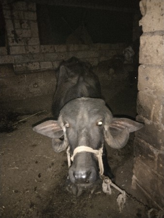 थंबनेल 2