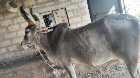 3 જવાબદારી બધી