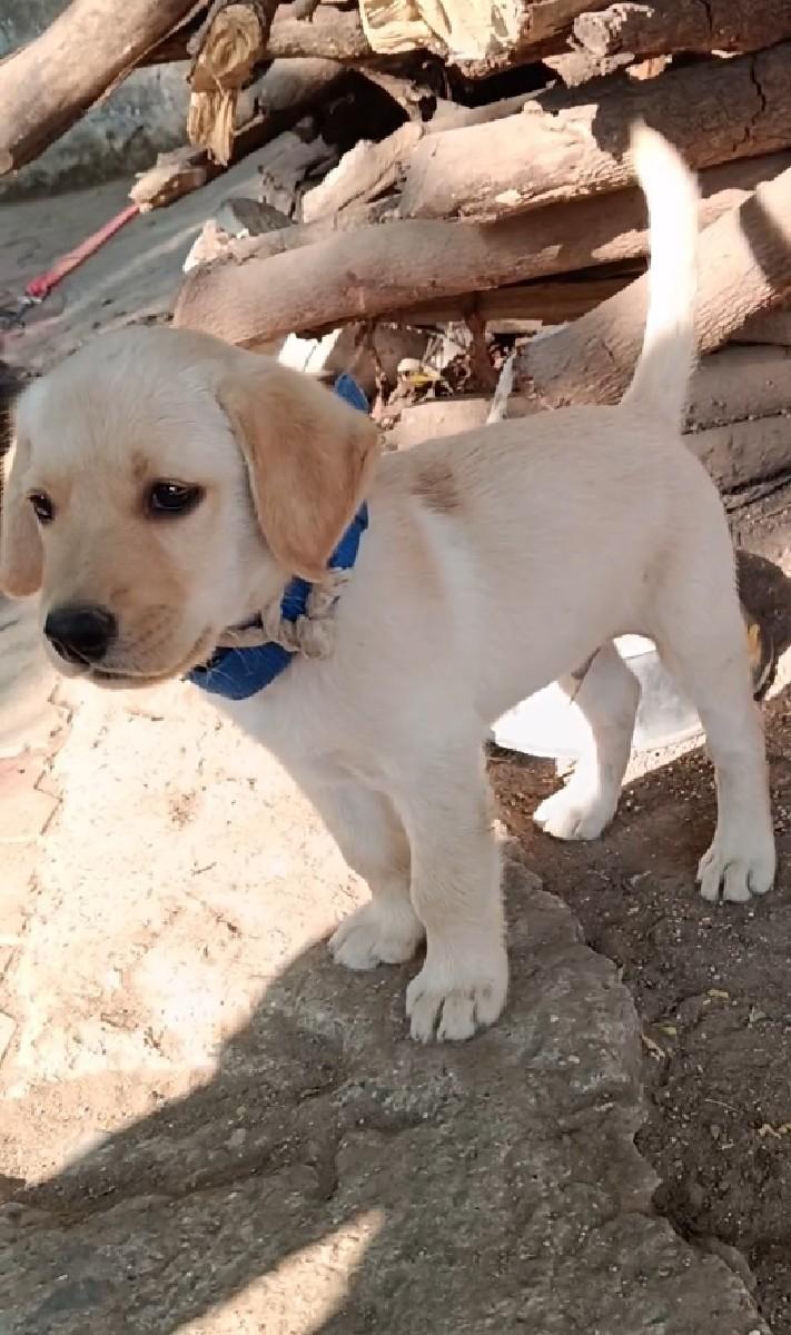 थंबनेल 2