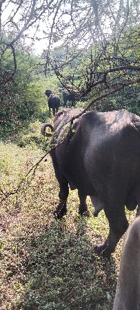 थंबनेल 3