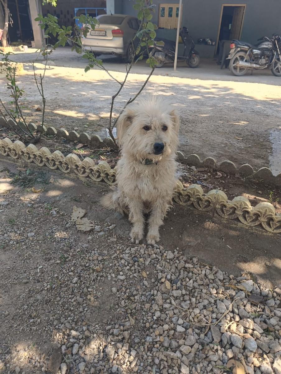 थंबनेल 2