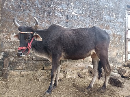 थंबनेल 2