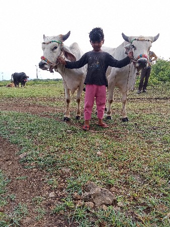 થંબનેલ 2