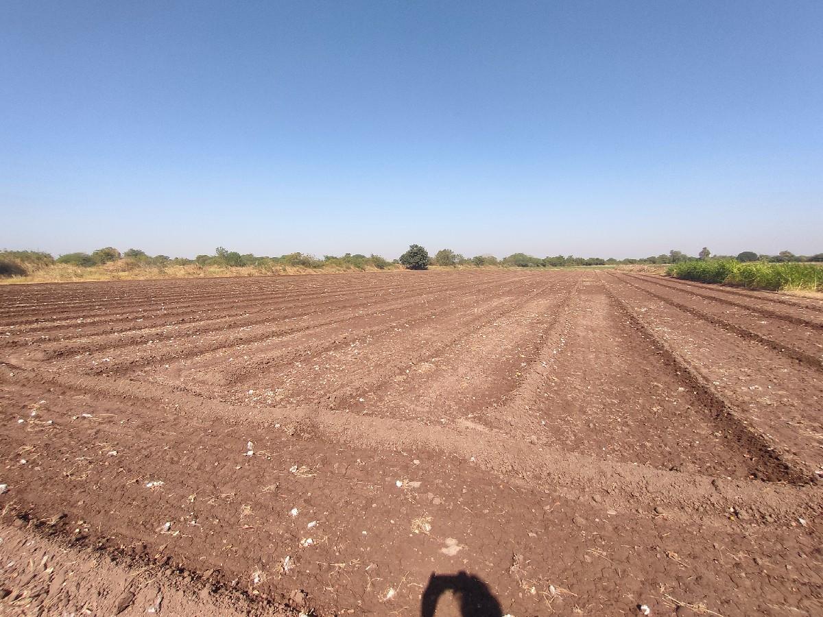 થંબનેલ 2