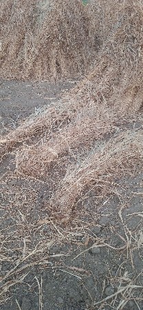 સાર વેચવાની છે