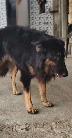 થંબનેલ 3