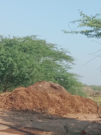 છાણીયું ખાતર વેચવાનું છે