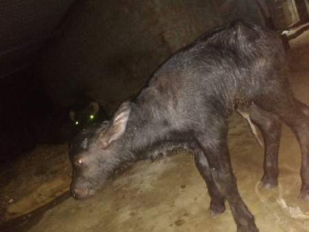 थंबनेल 2