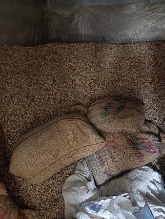 મગફળી 20  બિયારણમાં વેચવાની છે