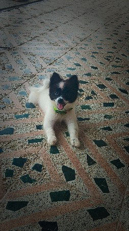 थंबनेल 3