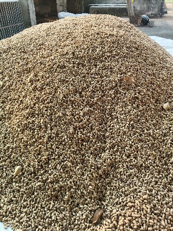 22 nabar biyaran ma madvi