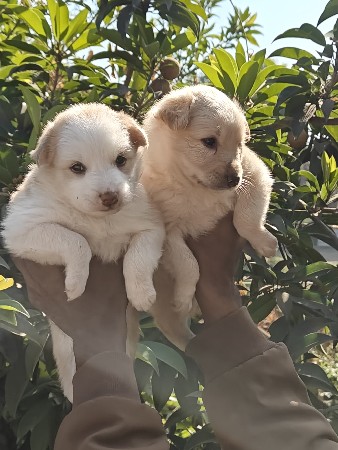 થંબનેલ 3