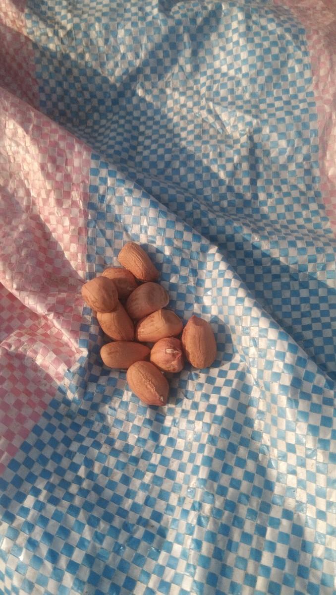 થંબનેલ 6