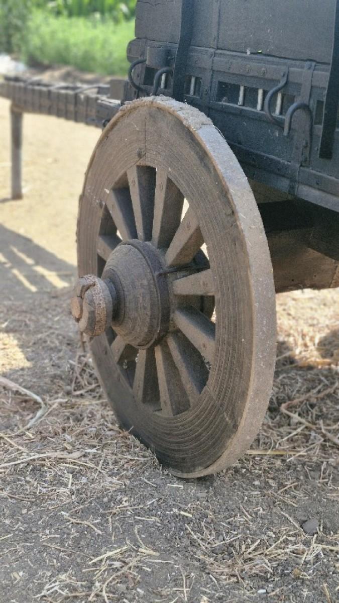 थंबनेल 2