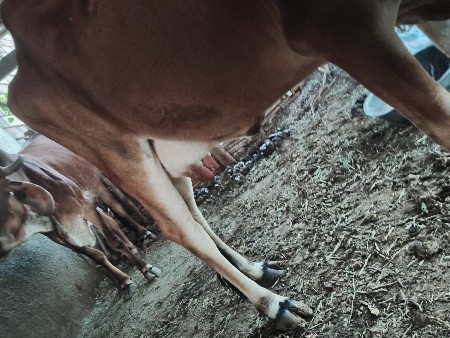 થંબનેલ 2