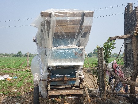 થંબનેલ 3