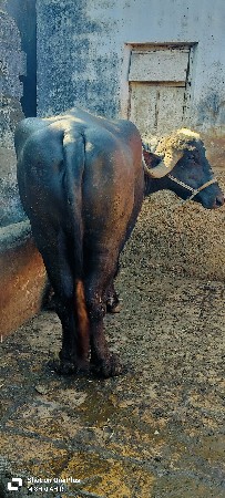 थंबनेल 3