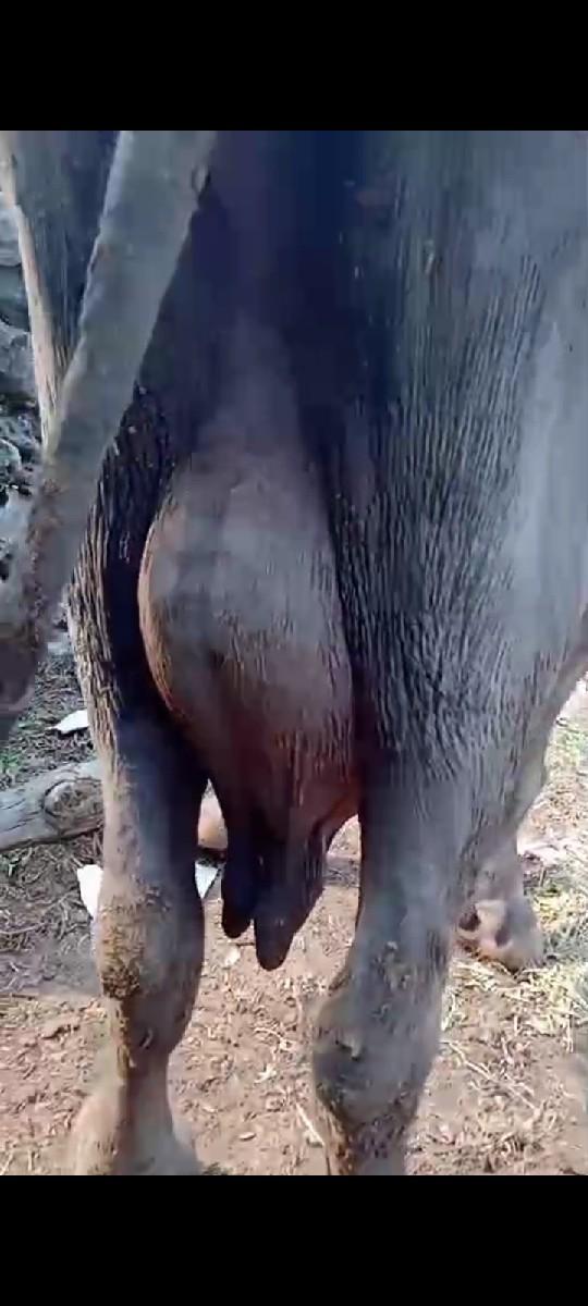 થંબનેલ 3