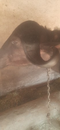 થંબનેલ 2