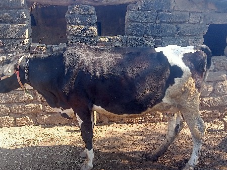 થંબનેલ 3