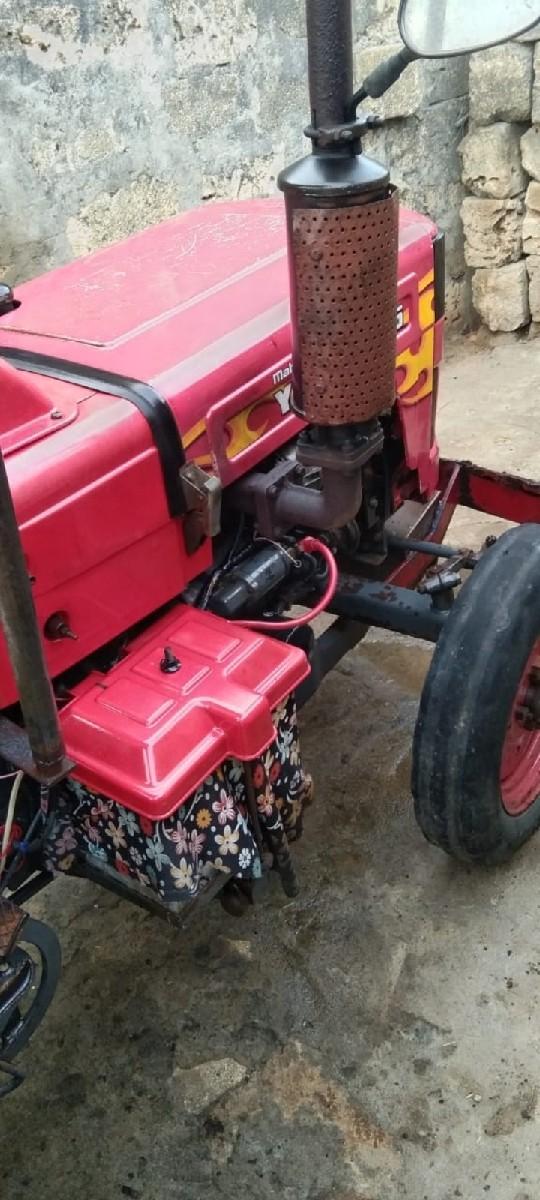 થંબનેલ 3