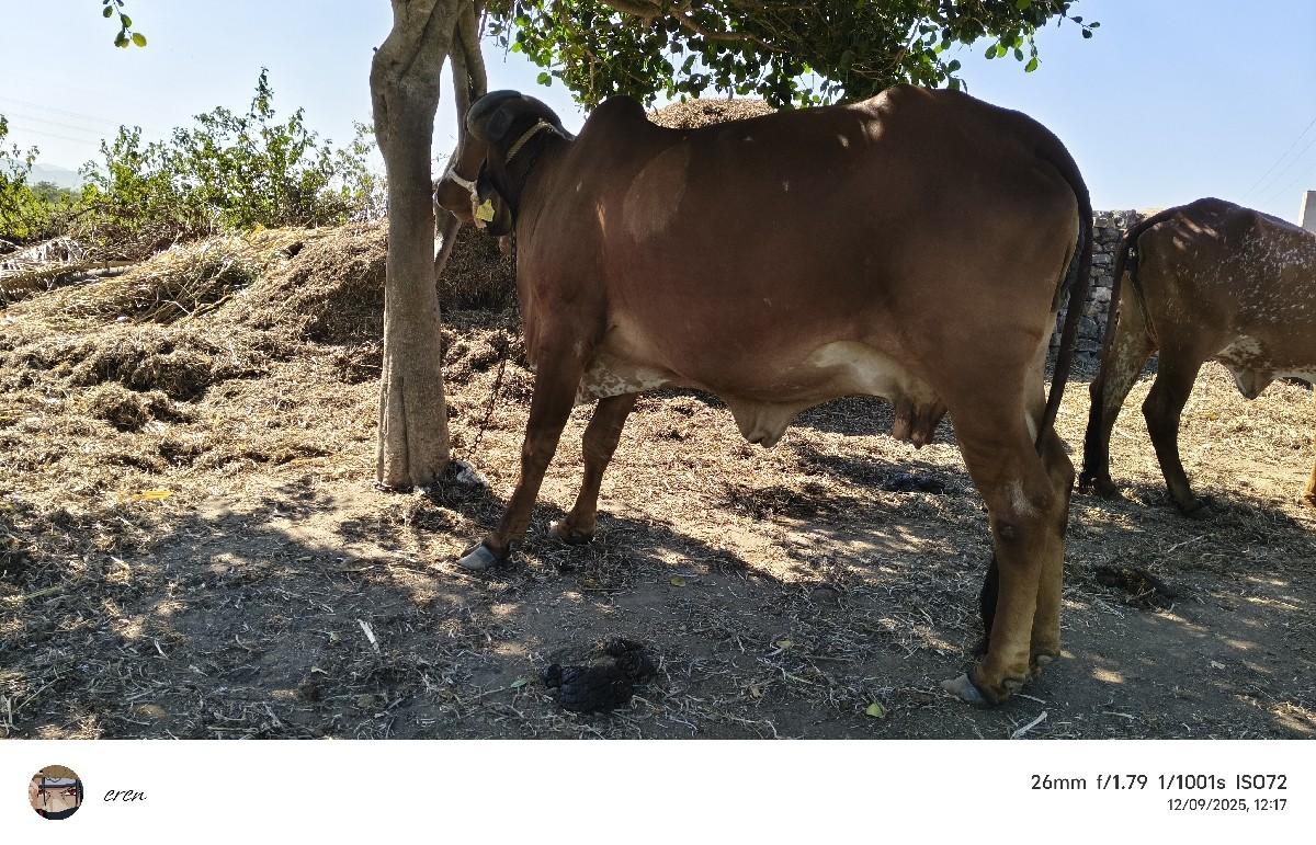 थंबनेल 2