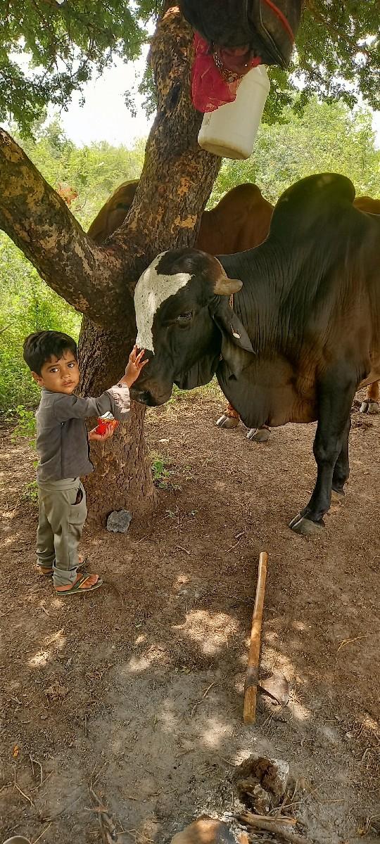 थंबनेल 3