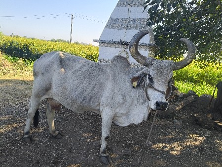 थंबनेल 2