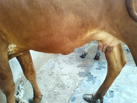 થંબનેલ 2