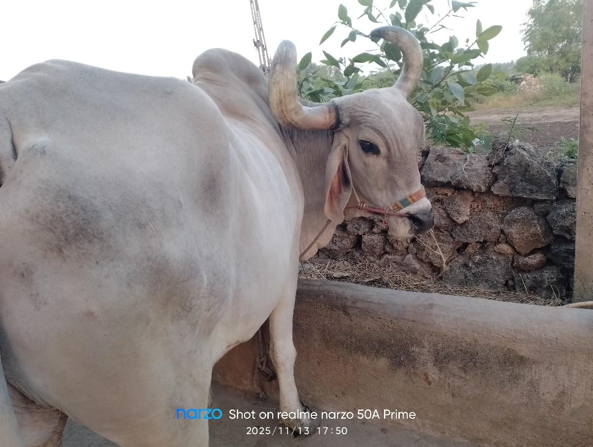 थंबनेल 2