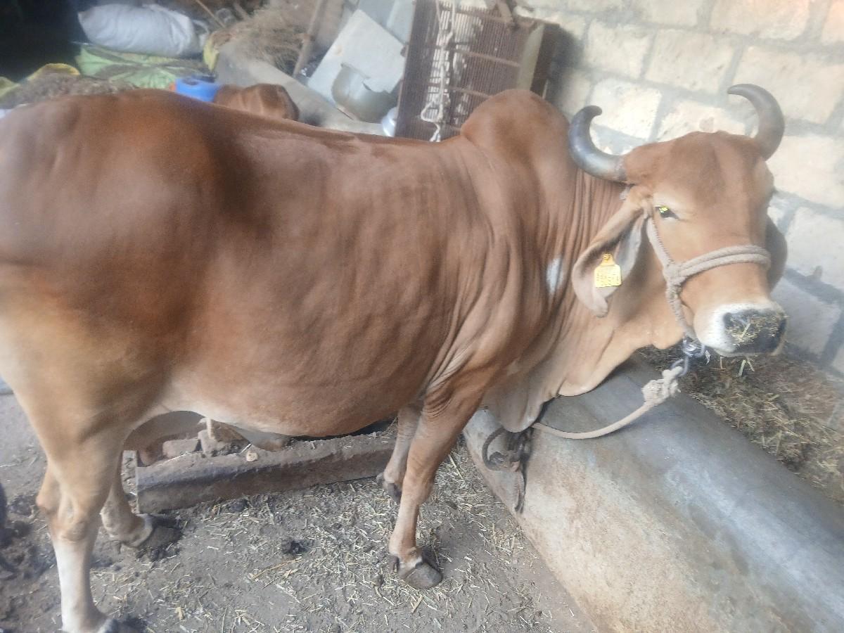 थंबनेल 2