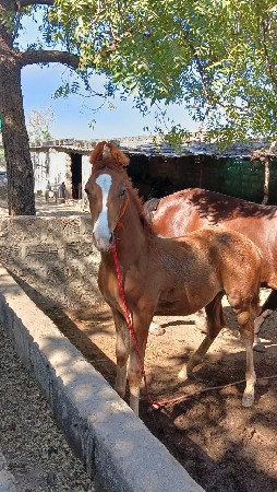 थंबनेल 3