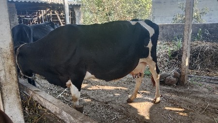 थंबनेल 2