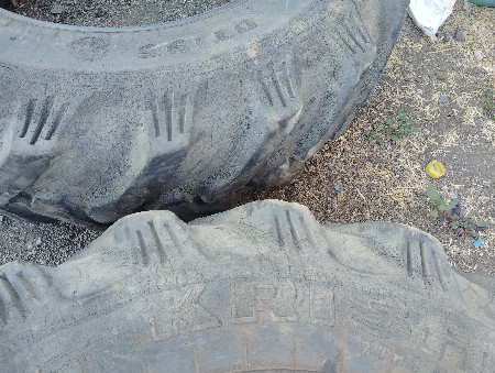 थंबनेल 6