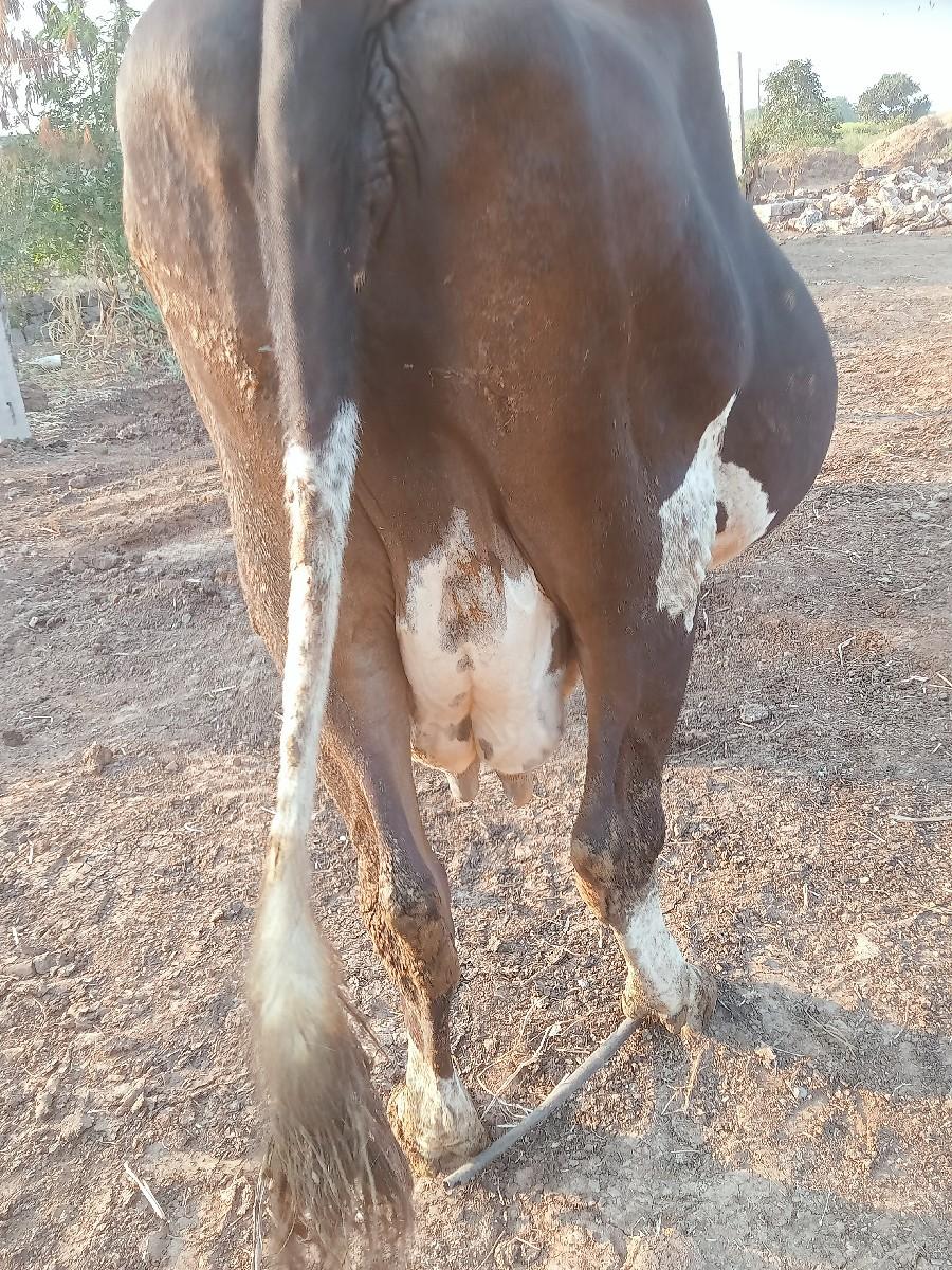 थंबनेल 2