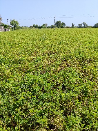 થંબનેલ 3