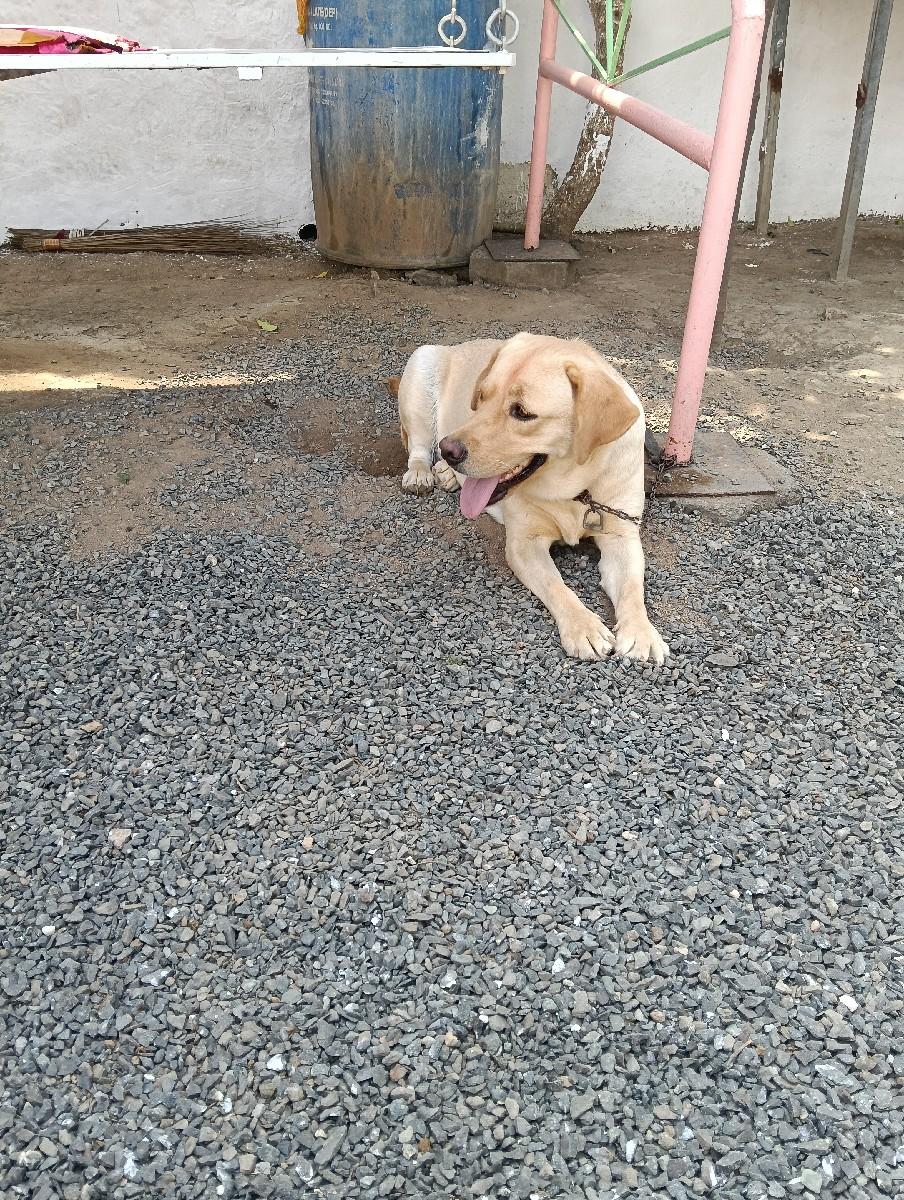 થંબનેલ 2