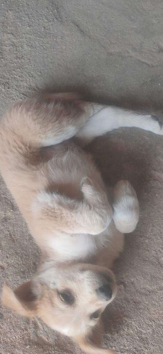 થંબનેલ 2