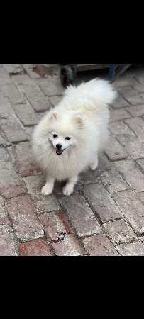 થંબનેલ 3