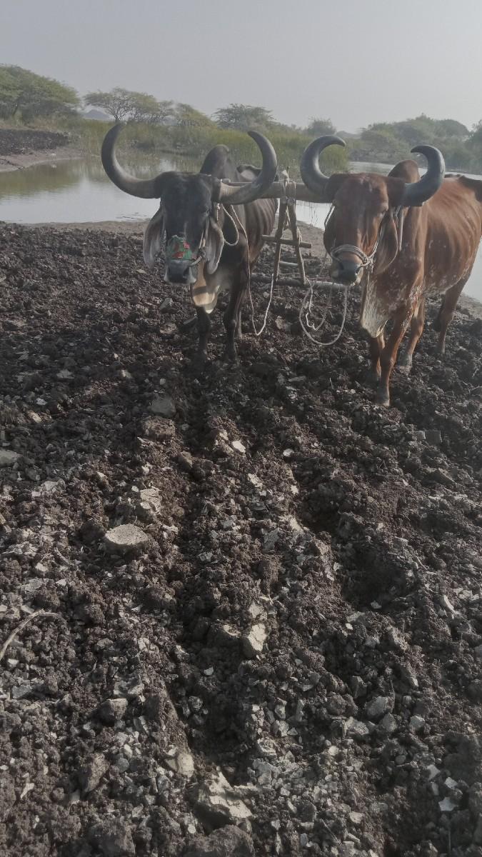 थंबनेल 3