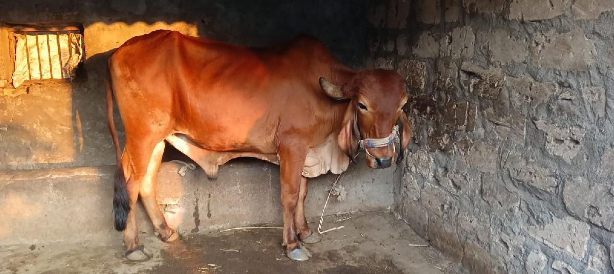 थंबनेल 2