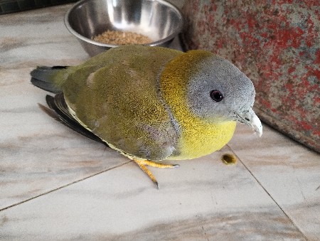 થંબનેલ 3