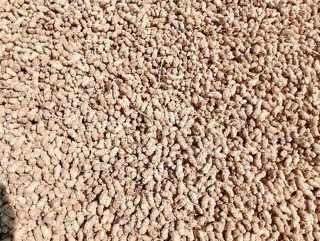 માંડવી ૨૨ નંબર