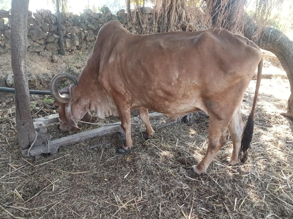 थंबनेल 3