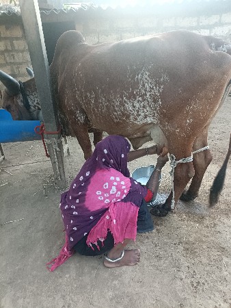 થંબનેલ 3